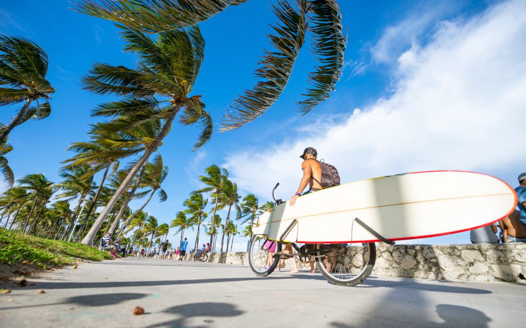 Paddleboard Rentals in Clearwater: How to Choose the Right One for Your Adventure