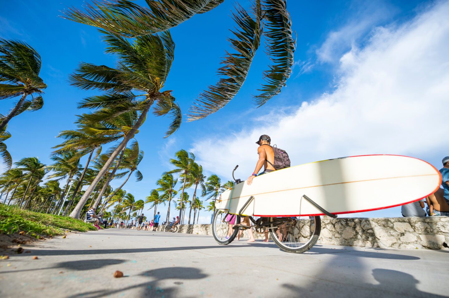 Florida paddleboard en route to the beach